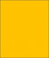 CADYELLOW.jpg