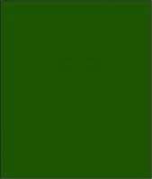 GRASSGREEN.jpg