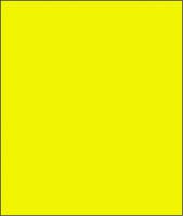 LEMONYELLOW.jpg
